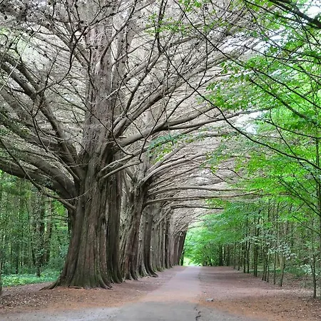 Coole Gate